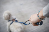 Turquoise Beads Mix Bracelet(S Beads) - May club